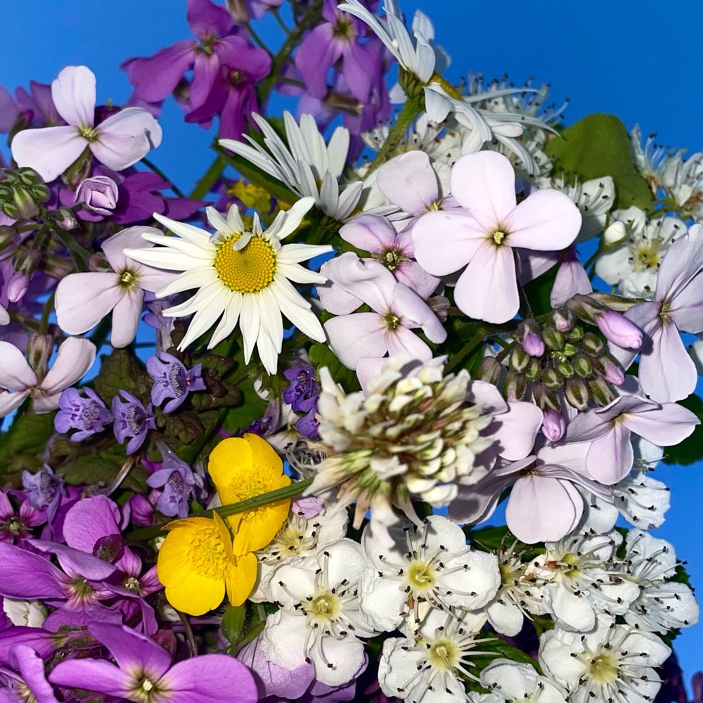 Meet your Posher, Leah